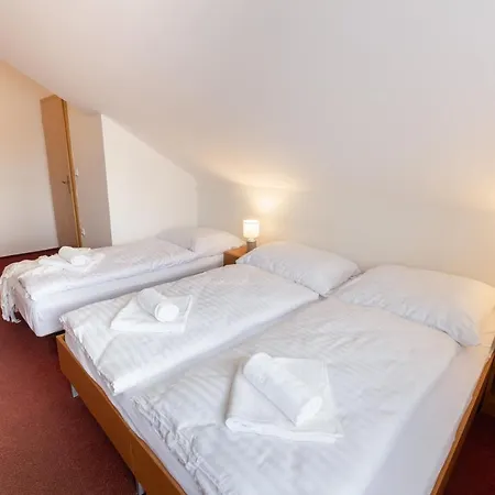 Jas Guest house Luhacovice