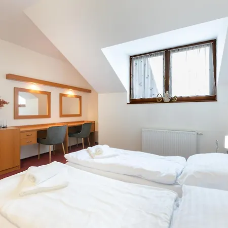Guest house Jas Luhacovice